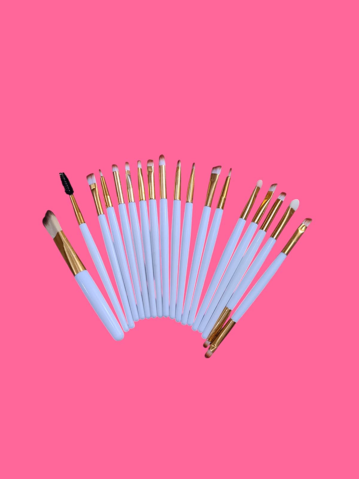 19 pcs. Makeup Brush Set